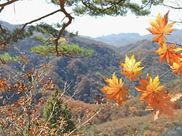 北京：今天白天天晴气爽，最高气温21℃，适宜假日出游 添衣保暖防感冒